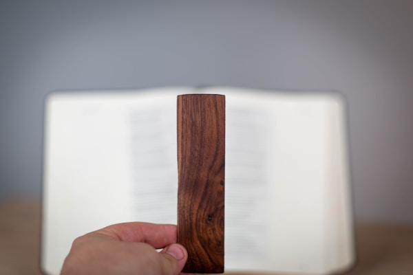 Kitap Ayracı ve Diğer