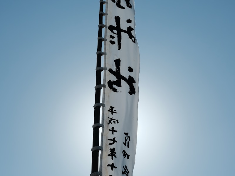 Roll-Up Banner (100x200 cm)